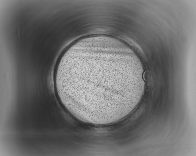 X0000101480792200807281038