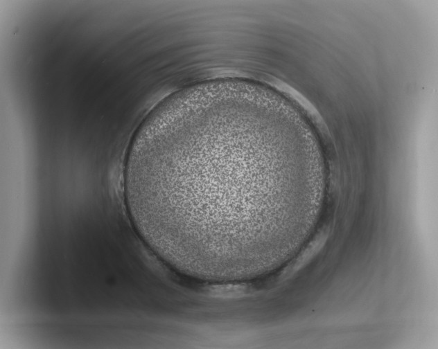 X0000101480793200807281038