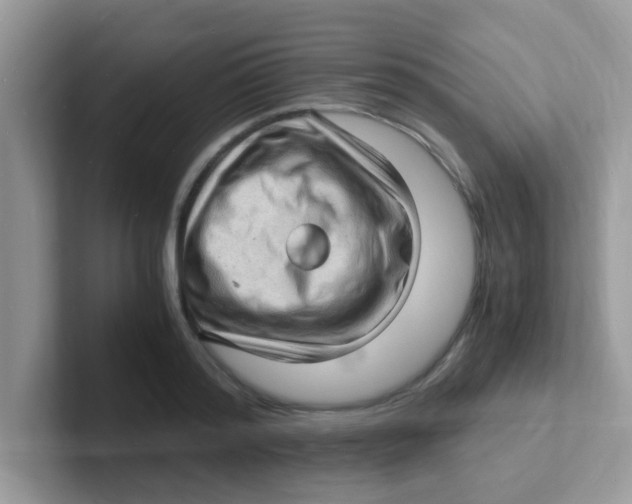 X0000101480796200807281038