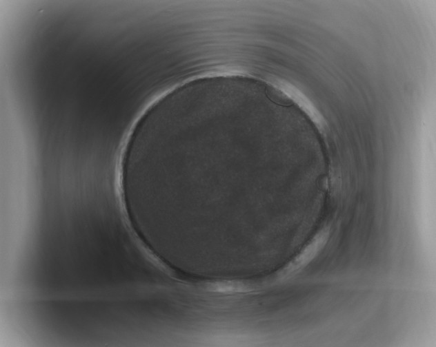 X0000101480797200807281038