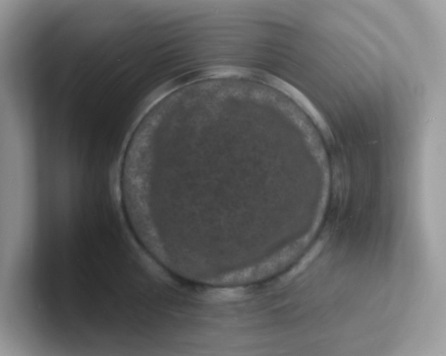 X0000101480810200807281038