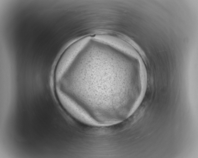 X0000101480811200807281038