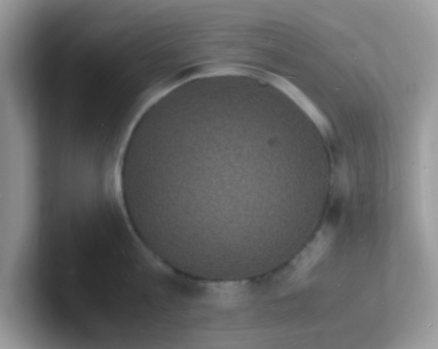 X0000101480813200807281038