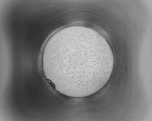 X0000101480816200807281038