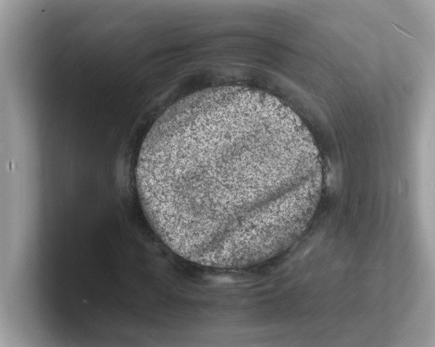 X0000101480819200807281037