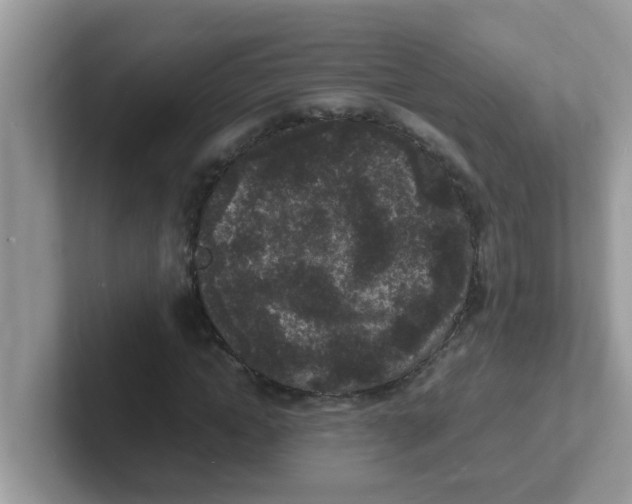 X0000101480822200807281037