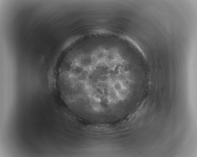 X0000101480823200807281037