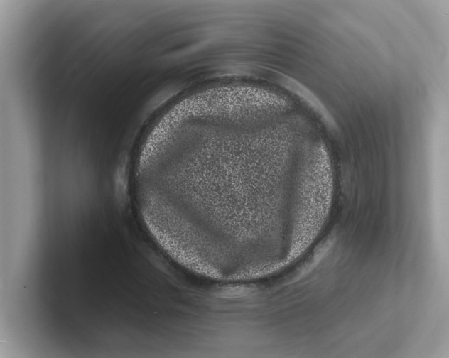 X0000101480826200807281038