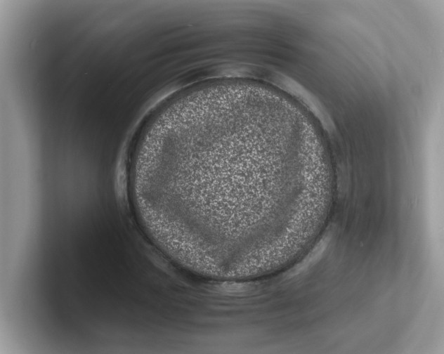 X0000101480827200807281038