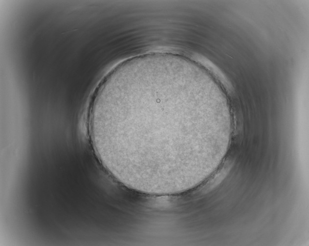 X0000101480828200807281038