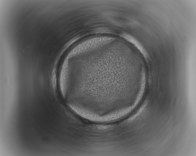 X0000101480829200807281038