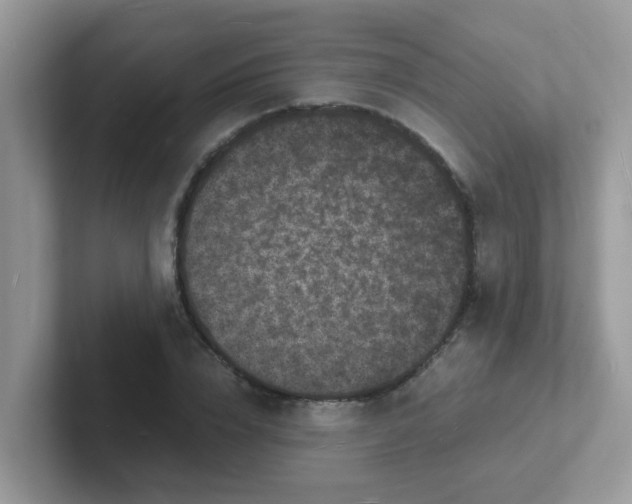 X0000101480832200807281038