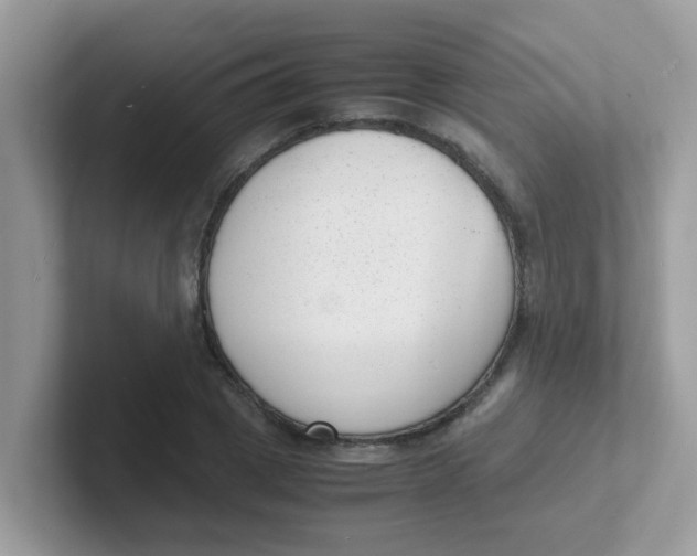 X0000101480833200807281038