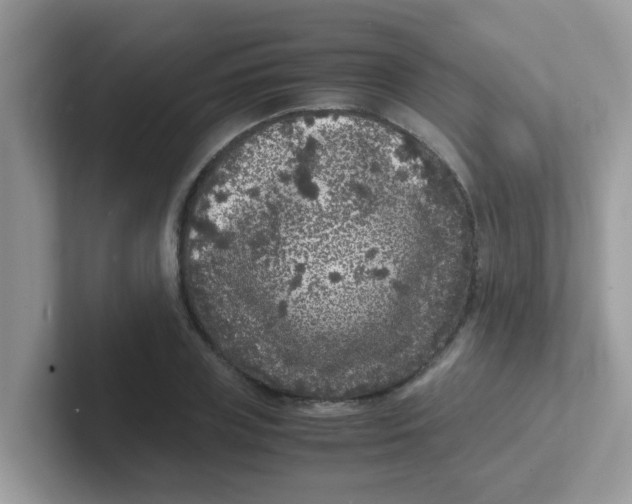 X0000101480835200807281038