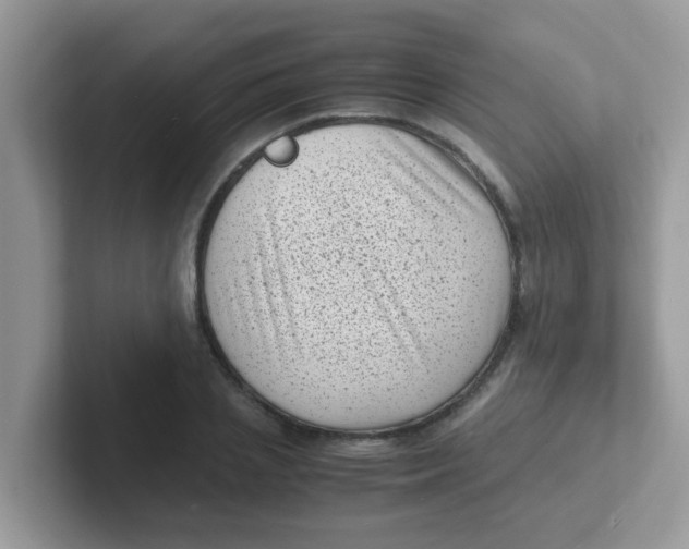 X0000101480837200807281038