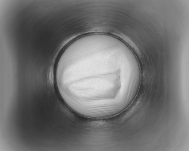 X0000101480838200807281038