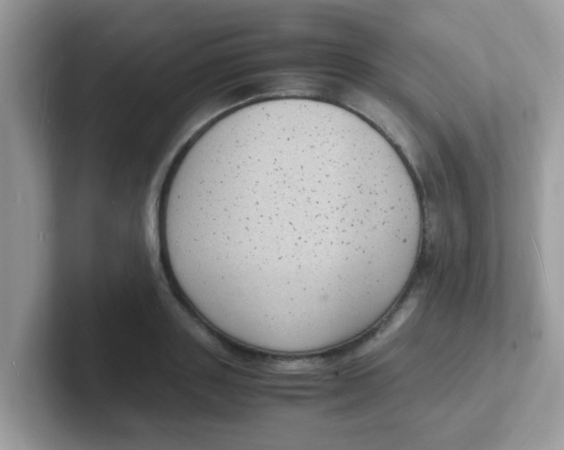 X0000101480843200807281038