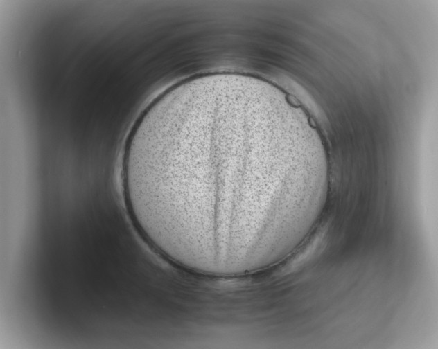 X0000101480847200807281038