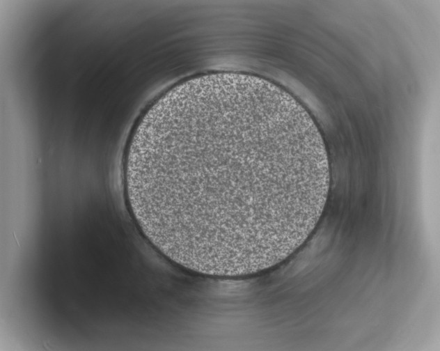 X0000101480848200807281038