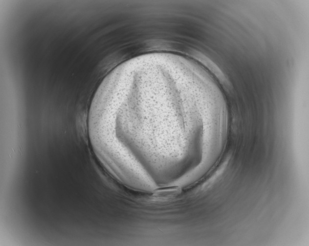 X0000101480849200807281038