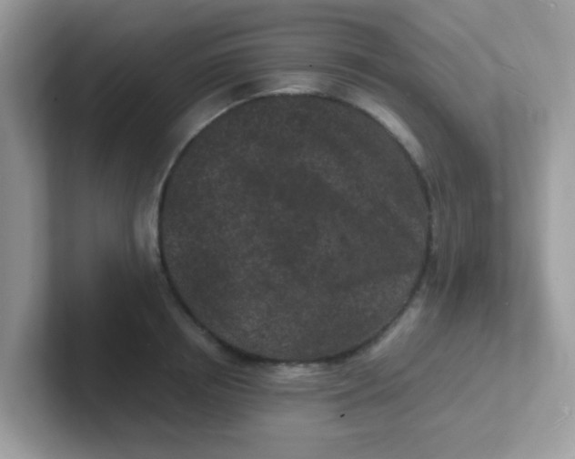 X0000101480850200807281038