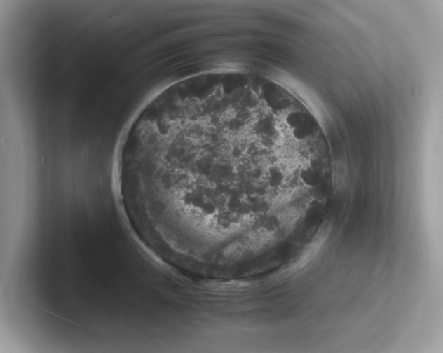 X0000101480851200807281038