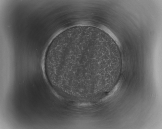 X0000101480853200807281038