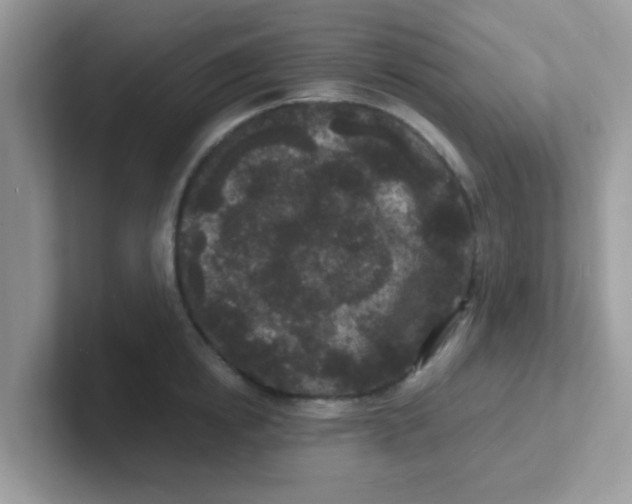 X0000101480854200807281038