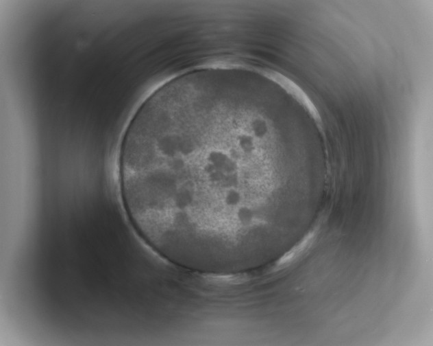 X0000101480855200807281038