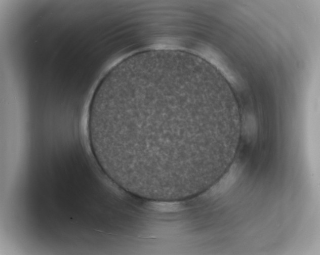 X0000101480856200807281038