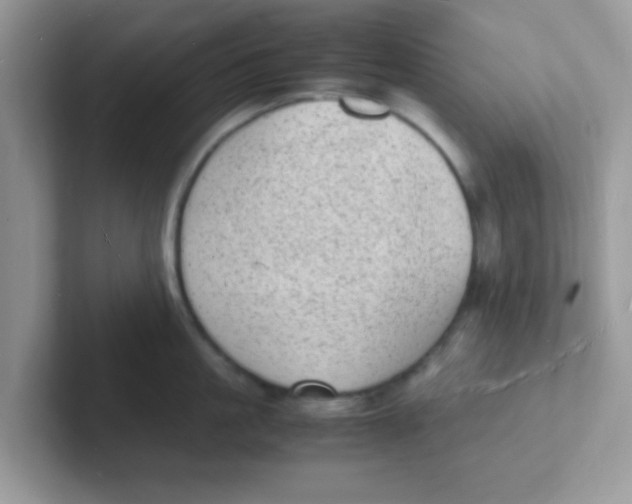 X0000101480861200807281038