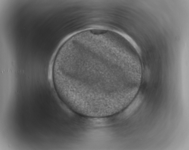 X0000101480862200807281038