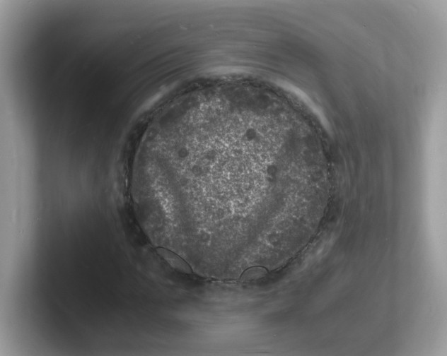 X0000101480871200807281037