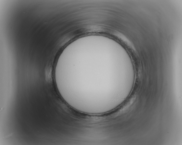 X0000101480873200807281037