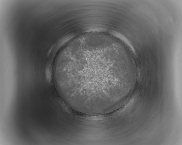 X0000101480874200807281037