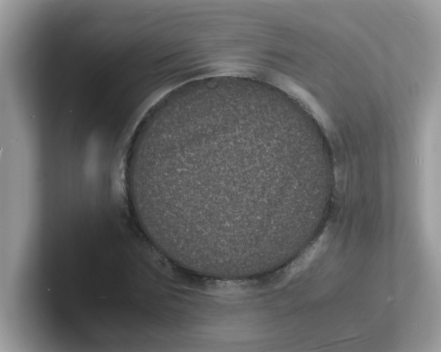 X0000101480875200807281037