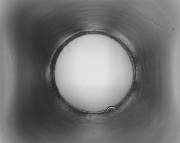 X0000101480876200807281037