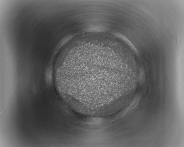 X0000101480878200807281037