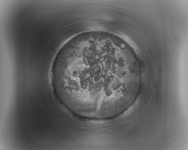 X0000101480879200807281037