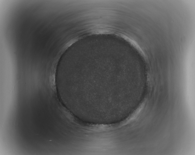 X0000101480881200807281037