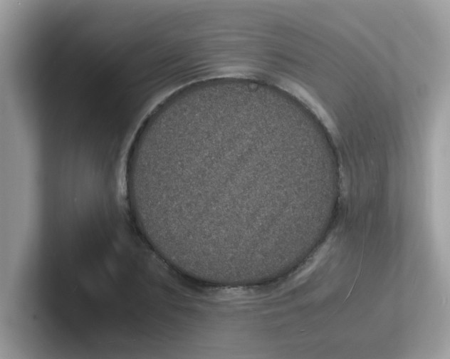 X0000101480883200807281037