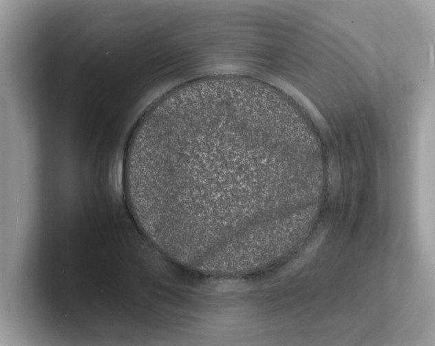 X0000101480886200807281037