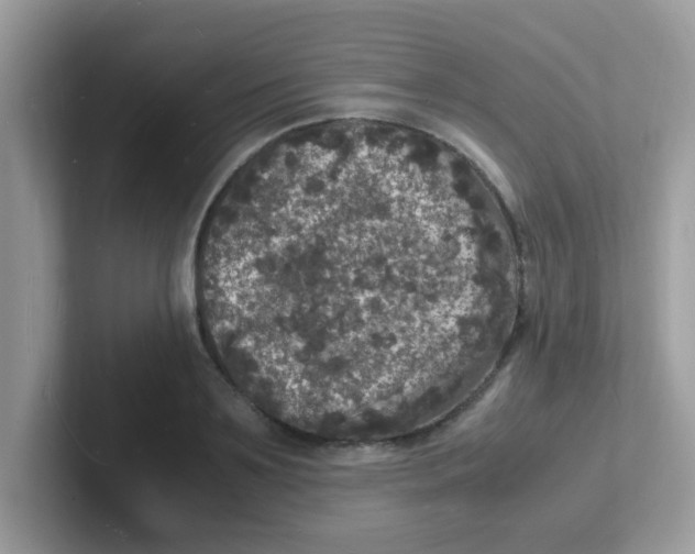 X0000101480891200807281037