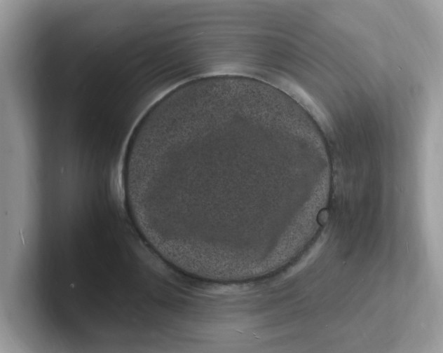 X0000101480892200807281037