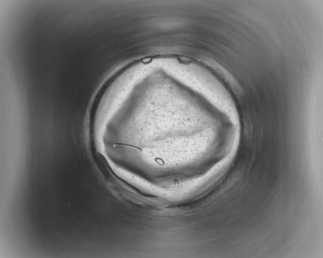 X0000101480894200807281037