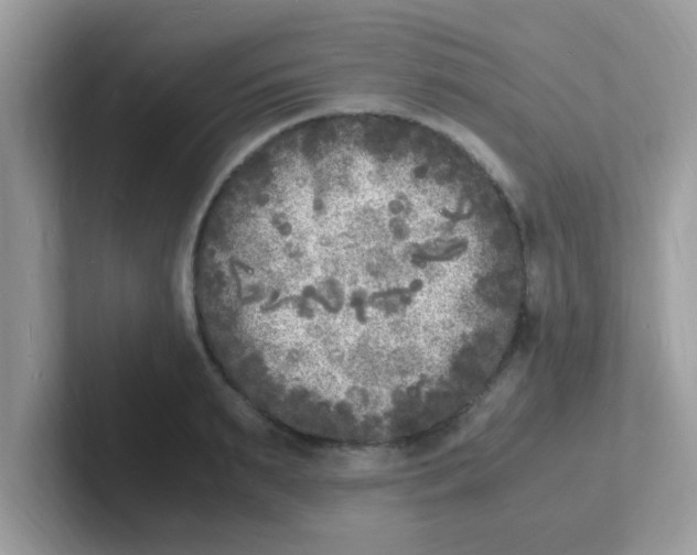 X0000101480895200807281037