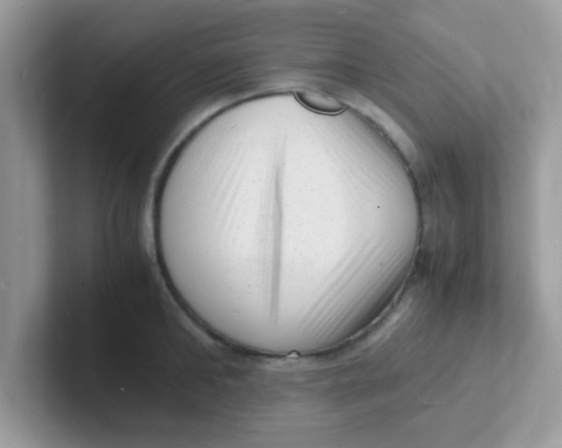 X0000101480902200807281037