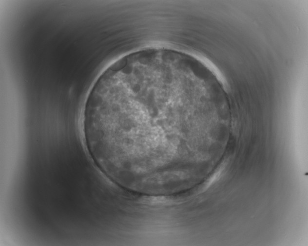 X0000101480903200807281037