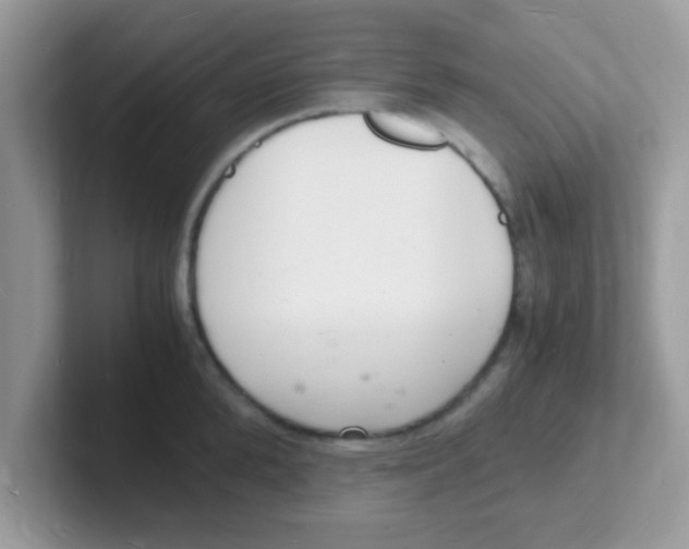 X0000101480904200807281037