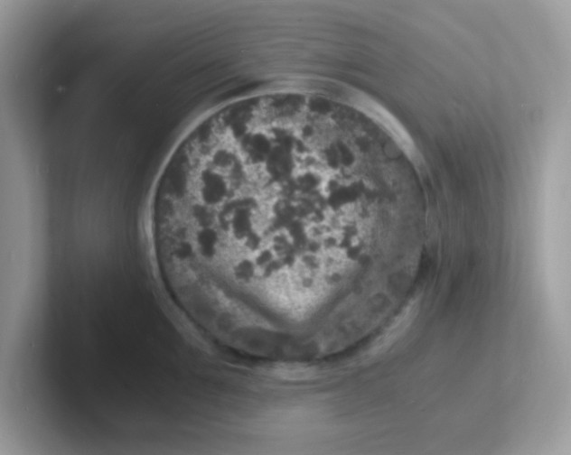 X0000101480907200807281037